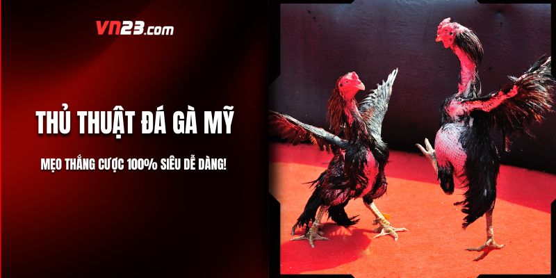 Thủ Thuật Đá Gà Mỹ – Mẹo Thắng Cược 100% Siêu Dễ Dàng!